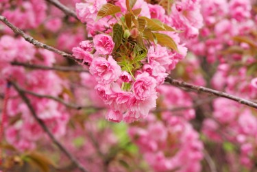 上海闵行区线下个人借款平台一站式服务，轻松解决资金难题
