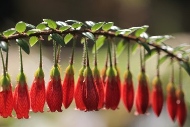 上海闵行区零用贷短借：轻松解决临时资金需求