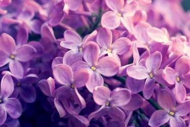 上海闵行区企业急用钱贷款攻略：快速融资解燃眉之急